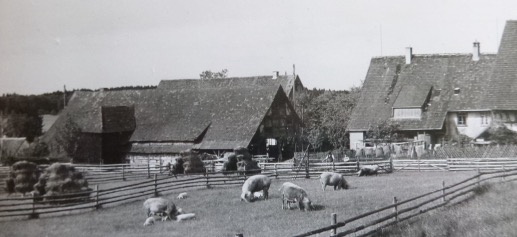 Das Hafnerhandwerk in Klosterwald